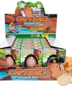 boite oeuf grossissant capybara X 12