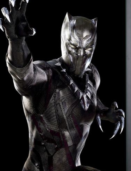 Marvel : Black Panther – Luxury Frame – Limited Edition 01/30 – Image 4