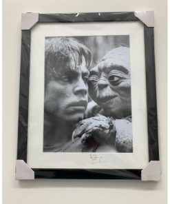 Star Wars Episode V: The Empire Strikes Back – Mark Hamill as « Luke » with Yoda – Photo numérotée