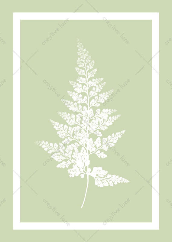 Carotte sauvage sur fond turquoise, affiche (max. A2)
