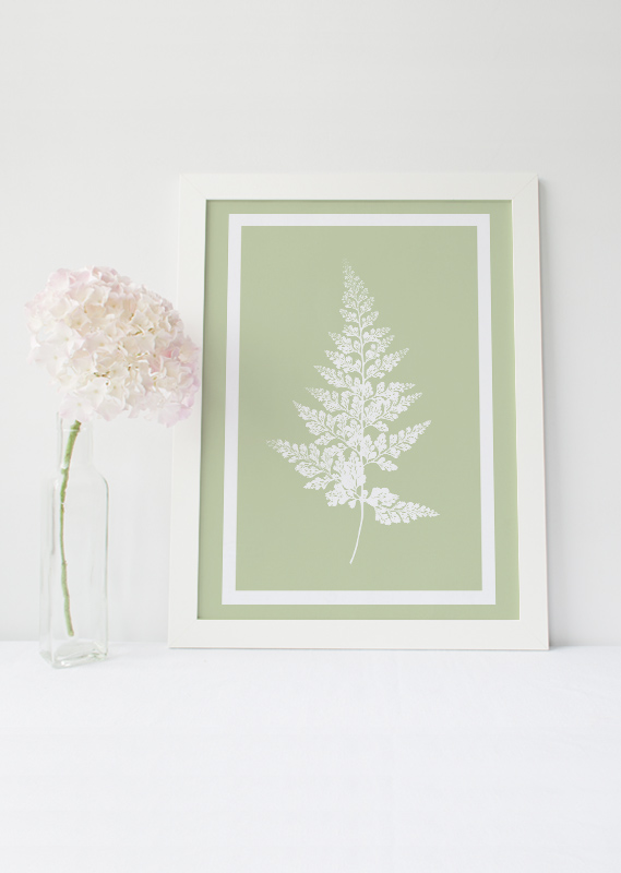 Carotte sauvage sur fond turquoise, affiche (max. A2) – Image 3