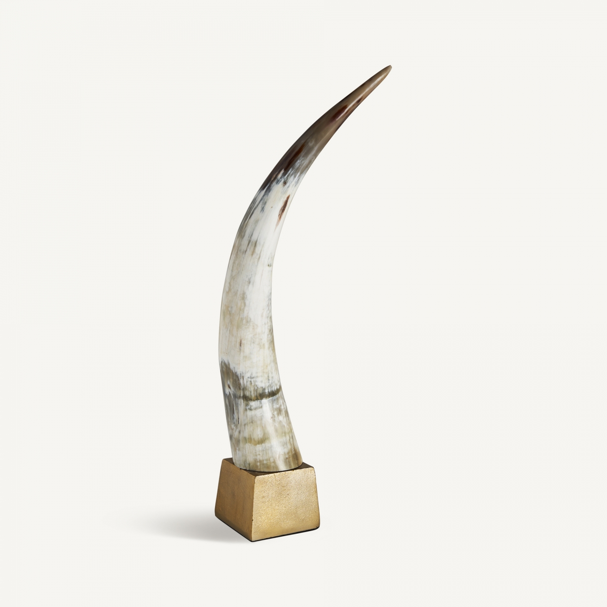 Sculpture Zonza Vical Home 22×59 – Image 2